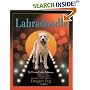 Labradoodle (Designer Dog)