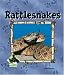Rattlesnakes (Animal Kingdom Set II)