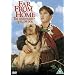 Far From Home - The Adventures Of Yellow Dog [DVD] [1994]