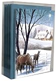 Tree-Free Greetings Holiday Horses Holiday Card Value Assortment, 5 x 7 Inches, 24 Cards and Envelopes per Set, Multi-Color (91182)