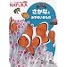 �����ȂƂ݂��̂������� (�t���[�x���ق̐}�� NATURA)