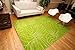 Feraghan/New City New Floral City Brand New Contemporary Modern Area Rug, 2' x 3', Green/White
