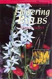Flowering Bulbs (Australia s Best Garden Guides)