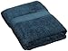 Tommy Hilfiger Luxury Soft Bath Sheet, Teal