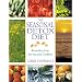 The Seasonal Detox Diet: Remedies from the Ancient Cookfire