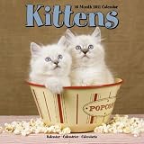 Kalender 2011 Kätzchen - Kitten