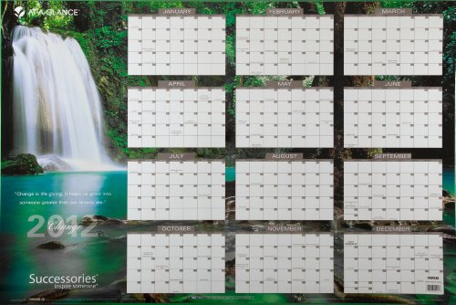 Best Price Successories Horizontal/Vertical Erasable Wall Planner, Med Wall, 2012 (PMW83B-28)