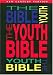 Book The Youth Bible An Ncv Resource That Teens Will Turn To For Guidance And Inspiration