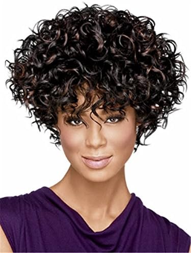 LongOu Afro wig Small explosion short curly wigs (as shown in the picture 1)