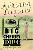 Big Cherry Holler: A Big Stone Gap Novel (Wheeler Compass)