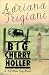 Big Cherry Holler (Big Stone Gap, Book 2)