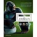 Larousse Junior des animaux