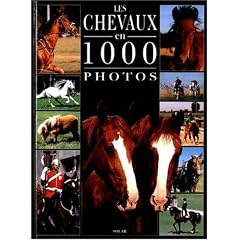Chevaux 1000 photos