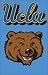 AFUCLA UCLA 44x28 Applique Banner
