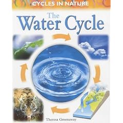 Water Cycle (Cycles in Nature)