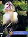 Search : Costa Rica - The National Parks and Wildlands