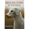 Bedlingtons in the Field
