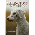 Bedlingtons in the Field