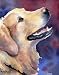 Labrador Retriever Dog Art Print Signed by Artist DJ Rogers