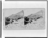Difficult travel - highway between Yauco and Mayaguez, through luxuriant western Porto Rico Reprint (15 x 12 inches)