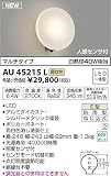 KOIZUMI(コイズミ照明) 【工事必要】 アウトドアライト LEDポーチ灯 人感センサマルチタイプ 【白熱球40W相当】 AU45215L