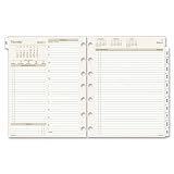 Day Runner Two-Pages-Per-Day Planning Pages, 8 1/2 x 11Inches,Daily/Monthly 2013 (491-225)