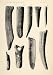 1910 Print Emeryville Shellmound San Francisco Bone Antler Archaeology Artifacts - Original Halftone Print