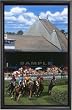 Saratoga - Wall Framed Canvas Art Print - Horse Racing
