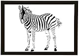 Zebra Bean Bag Lap Tray Exclusive Designs Student Tv Dinner Food Breakfast Bed Unique