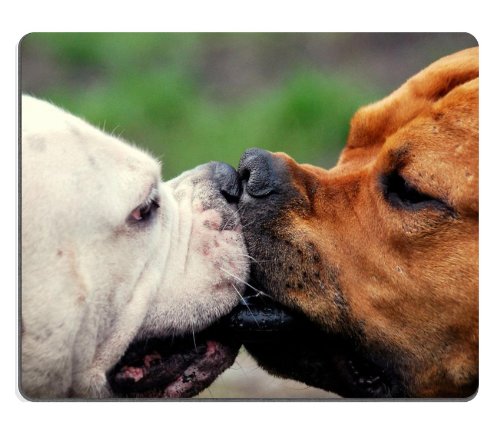 Dogs Puppy Funny Kissing Pets Animals Mouse Pads Customized Made to Order Support Ready 9 7/8 Inch (250mm) X 7 7/8 Inch (200mm) X 1/16 Inch (2mm) High Quality Eco Friendly Cloth with Neoprene Rubber Liil Mouse Pad Desktop Mousepad Laptop Mousepads Comfortable Computer Mouse Mat Cute Gaming Mouse pad
