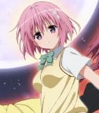 To LOVEる-とらぶる-ダークネス 13 アニメDVD同梱版