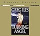 Turning Angel: A Novel