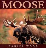 Moose