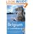 The Rough Guide to Belgium & Luxembourg (Rough Guide Travel Guides)