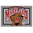 University of Maryland Rug - Red/ Gray (Rectangle)