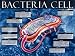 Bacteria Cell Subject Art Poster Print, 24x18