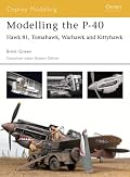 Modelling the P-40: 