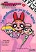 Search : The Powerpuff Girls, numéro 1 : Le Professeur joue les héros