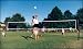 Sporting Goods : Cobra Lifetime Warranty Guy Wire Free Outdoor Volleyball Net System
