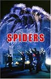 Spiders - Lana Parrilla