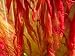How to Dye Silk