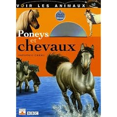 Poneys et chevaux (1DVD)