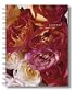 Bouquet of Roses Wire-O Bound Journal (Potter Style)