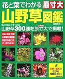 原寸大 花と葉でわかる山野草図鑑 原寸大 花と葉でわかる山野草図鑑