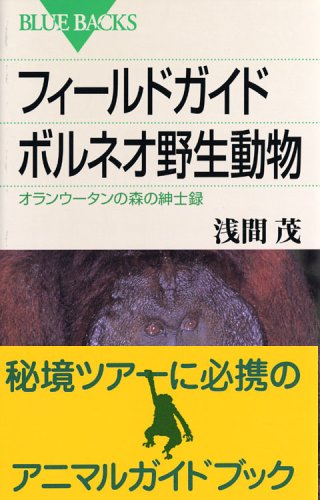 Cover image : フィールドガイド ボルネオ野生動物 (ブルーバックス)