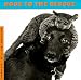 Dogs to the Rescue
