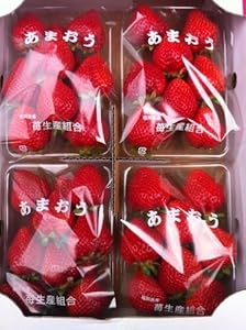 博多あまおう１箱【４パック入り】【福岡県産】【規格外品＞不揃い変形等】