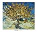 (24x28) Vincent van Gogh The Mulberry Tree, 1889 Art Print Poster