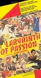 VHS : Labyrinth of Passion