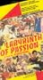 Labyrinth of Passion [VHS]